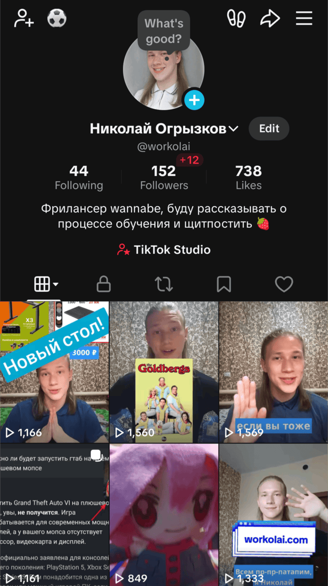 TikTok-аккаунт Николая огрызкова